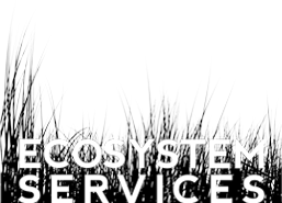 Ecosystem Services Logo