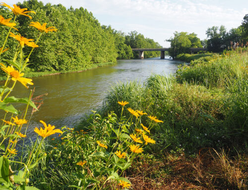 South Fork Shenandoah River Restoration
